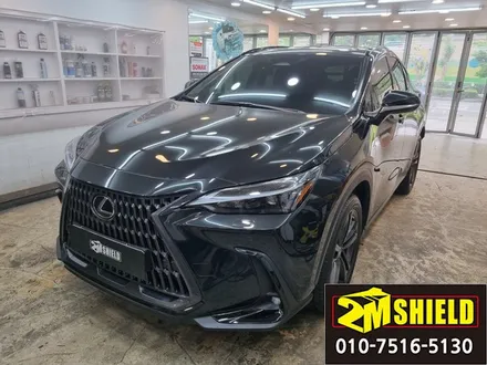 렉서스 NX300H 루프몰딩 윈도우몰딩 크롬죽이기 랩핑 / 부산 사상구