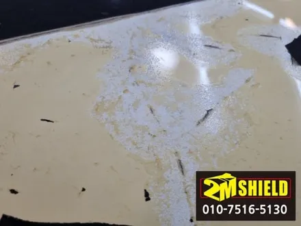 엄청 심하게 손상된 티볼리 루프스킨 제거하고 재시공 / 부산 사상구