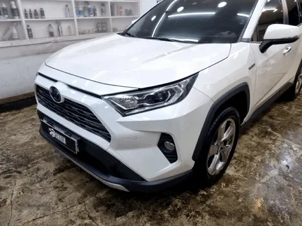 부산 투톤 랩핑 제거 토요타 라브4 rav4 루프스킨 손상 / 부산 사상구