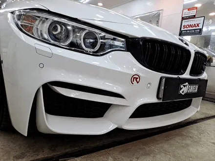 BMW 4시리즈 포인트 데칼 라인 작업하기 / 부산 사상구