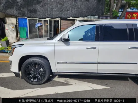 안양 군포 캐딜락 에스컬레이드 썬팅 블락포디 스카이블루 틴팅 [블락포디 군포 당정점]