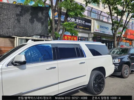 안양 군포 캐딜락 에스컬레이드 썬팅 블락포디 스카이블루 틴팅 [블락포디 군포 당정점]