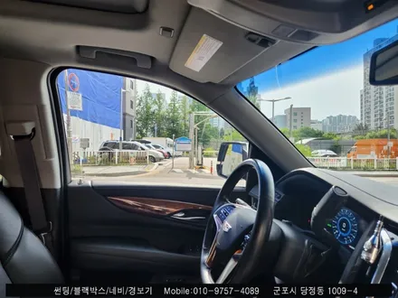 안양 군포 캐딜락 에스컬레이드 썬팅 블락포디 스카이블루 틴팅 [블락포디 군포 당정점]