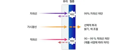 군포안양 그랜저ig 썬팅 블랙박스 보호필름 ppf 시공