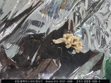 군포 불스원 썬팅 제규어xj 올드카 썬팅 후기 : 무색썬팅합법화 필름 불스원 군포 당정점