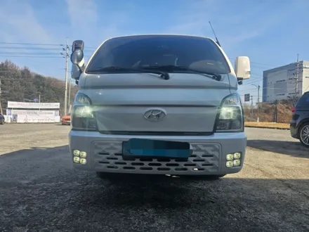 포터ev 사구 안개등 / 용인, 성남, 수원