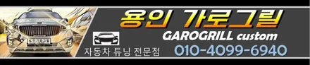 올더뉴카니발 바디킷 세로그릴 / 용인, 성남, 수원