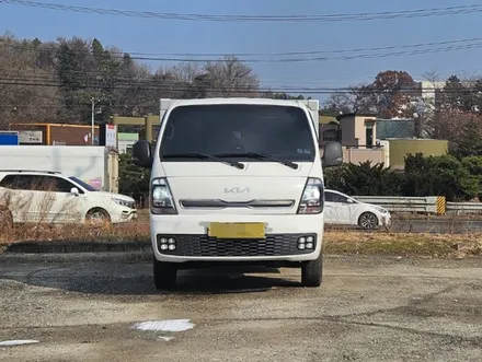 봉고3 사구안개등 봉고ev사구안개등 / 용인, 성남, 수원