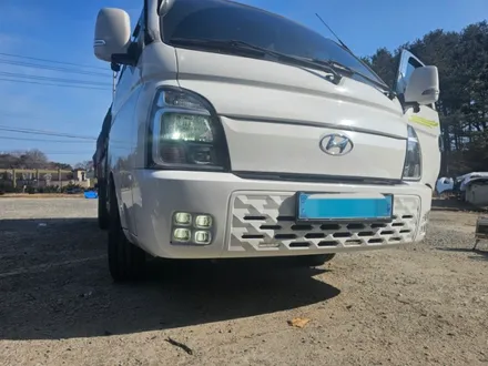 포터ev 사구 안개등 / 용인, 성남, 수원