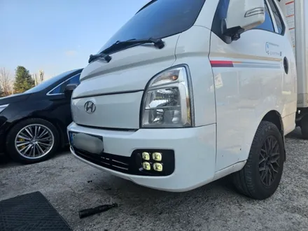 포터2 led사구안개등 큐엘안개등 / 용인, 성남, 수원