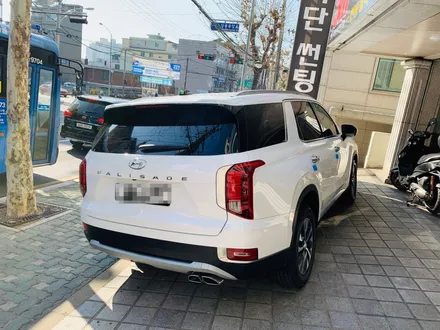 현대자동차의 완성형 대형 SUV  팰리세이드 3M 크리스탈라인 썬팅 시공기 [3M썬팅 중랑구 상봉점] / 서울 중랑구 상봉동
