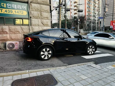 가성비 좋은 3M CM 필름으로 테슬라 모델 Y 윈도 틴팅 시공[3M썬팅 중랑구 상봉점] / 서울 중랑구 상봉동