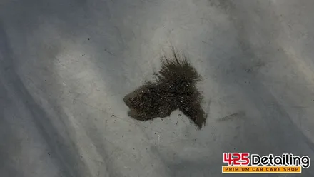 군포 송정지구 르노 SM6 디테일링 세차 후기 / 경기 군포