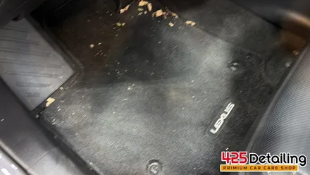 군포 송정지구 렉서스 NX350h 디테일링 세차 후기 / 경기 군포