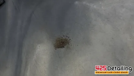 군포 송정지구 제네시스 GV70 유막 제거 발수코팅 및 디테일링 세차 / 경기 군포