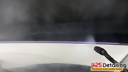 군포 송정지구 테슬라 모델 3 디테일링 세차 후기 / 경기 군포