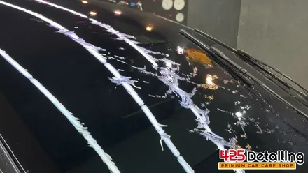군포 송정지구 테슬라 모델 X 앞 유리 유막 제거 발수코팅 및 디테일링 세차 후기 / 경기 군포