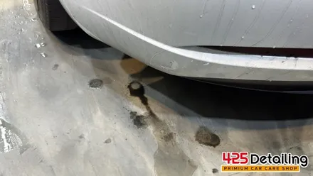 군포 송정지구 테슬라 모델 3 디테일링 세차 / 경기 군포