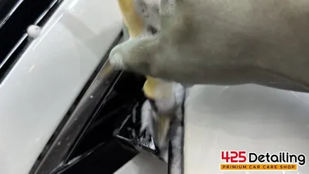 군포 송정지구 기아 니로 디테일링 세차 후기 / 경기 군포