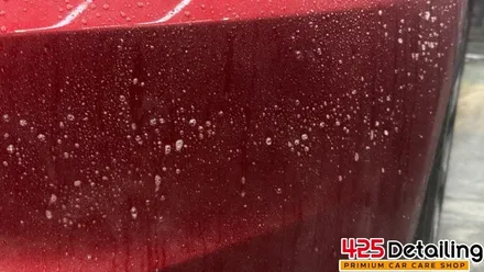 군포 송정지구 테슬라 모델 3 디테일링 세차 후기 / 경기 군포