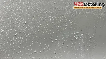 군포 송정지구 KGM 렉스턴 스포츠 칸 디테일링 세차 후기 / 경기 군포