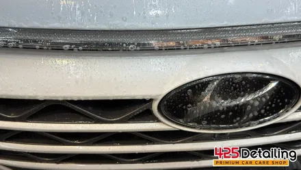 군포 송정지구 현대 넥쏘 디테일링 세차 / 경기 군포