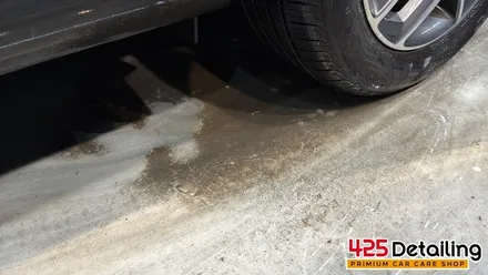 군포 송정지구 쌍용 티볼리 에어 X150 디테일링 세차 후기 / 경기 군포