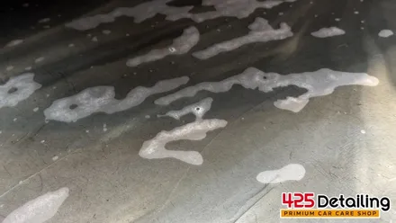 군포 송정지구 벤츠 CLS450 디테일링 세차 후기 / 경기 군포