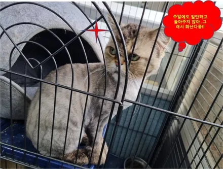 순천랩핑,여수랩핑,광양랩핑,전남랩핑,튜닝,순천PPF,여수PPF,광양PPF,렌트카,수입차,웨딩카,광고랩핑,순천데칼BMW X5 PPF / 순천 남산