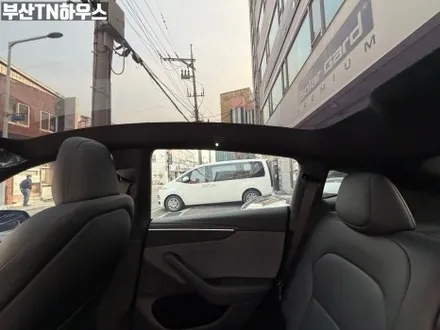 테일러 신차패키지 , 윈도틴팅(썬팅, PPF, 유리막코팅,가죽코팅,발수코팅 까~~쥐~ _테슬라모델y 주니퍼