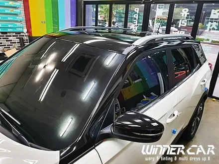 코란도 루프스킨 에이버리슈프림 블랙유광 루프스킨전문 안양위너카 랩핑,PPF전문 / 안성시 금석동