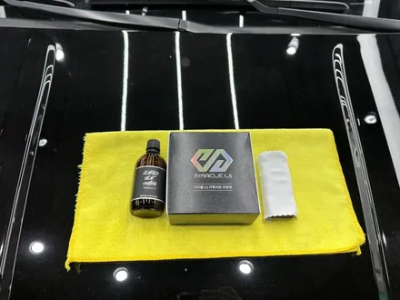 도봉 가죽 코팅 전문점! 카니발에 깔끔하게 시공해봤습니다 / 도봉구 도봉동