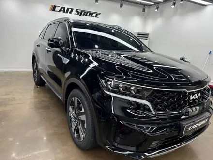 [쏘렌토 베이직 패키지] 신차에 필요한 시공을 모두 모았습니다! / 도봉구 도봉동