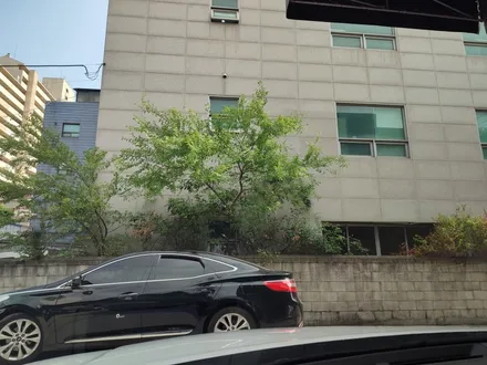 그랜저 썬팅 추천, 차량에 대미지를 최소화하기 위해 / 도봉구 도봉동