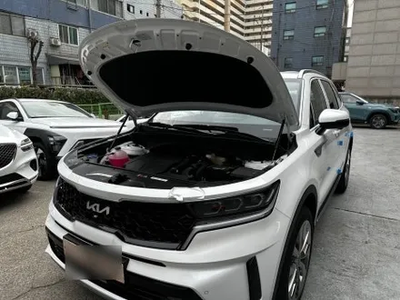 쏘렌토 프리미엄 신차 패키지 시공! 꼼꼼한 시공으로 신차 느낌이 물씬 나네요 / 도봉구 도봉동