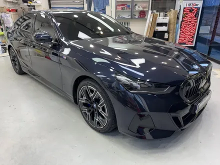 BMW 530e 블랙 PPF 시공, 원하는 색상 없다면 / 서울 광진구 중곡동