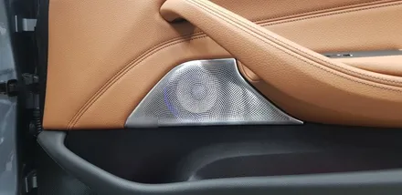 BMW G30 520d 회오리 트위터