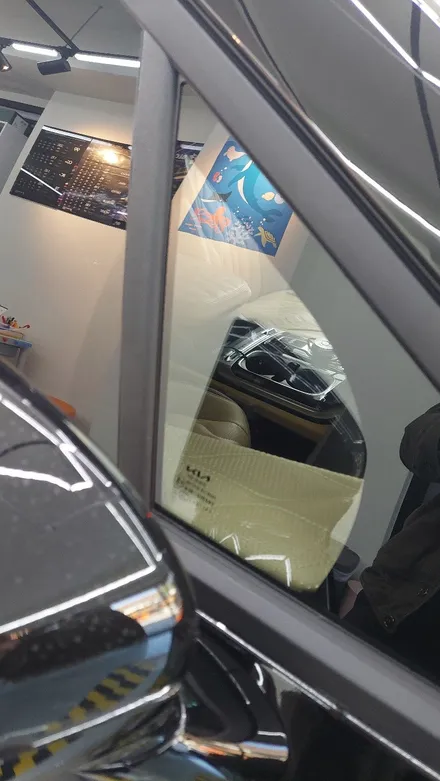 기아 카니발 KA4 하이리무진 블락포디 토브 PPF 및 썬팅 부분시공~~!!! / 고양 덕양구 향동동