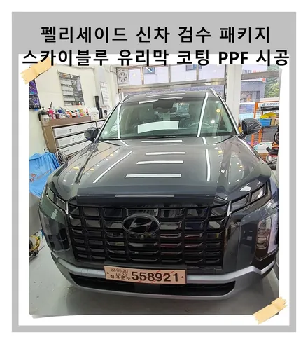 고객님을 위한 펠리세이드 신차 패키지 썬팅 유리막 PPF 시공 / 광명 하안동