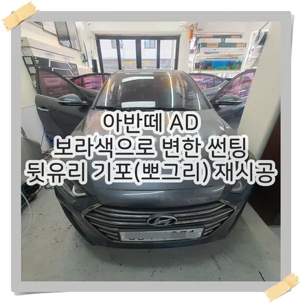 아반떼 AD 보라색으로 변한 썬팅 뒷유리 기포(뽀그리) 재시공 / 광명 하안동