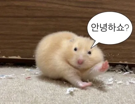 구미에이로드/에이로드/PPF/gn7 그랜저/그랜저 ppf/라이트 ppf/앞 범퍼 사이드 ppf/ppf맛집