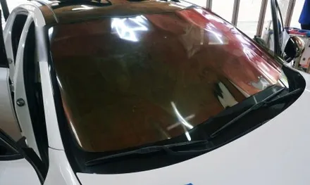 대구 경산 스팅어 CR 카멜레온 필름으로 스타일리쉬하게 바꾸세요.