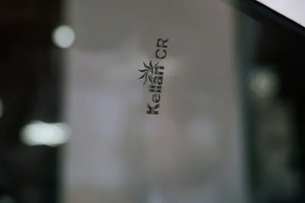 대구 경산 스팅어 CR 카멜레온 필름으로 스타일리쉬하게 바꾸세요.