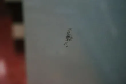 대구 자동차 전면유리 돌빵 교체와 동시에 열차단썬팅까지.