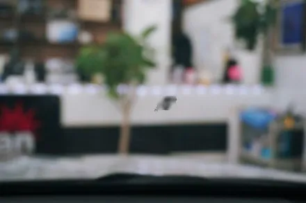 대구 르노 XM3 최고급 프리미엄 반사필름. 비반사필름 재시공.
