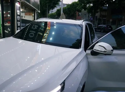 팰리세이드 썬팅은 역시 켈란 열차단 썬팅