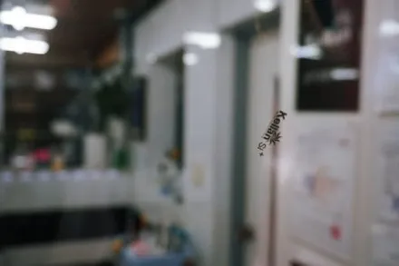 대구 경산 신형 카니발 하이브리드 x라인 신차 썬팅은 켈란 프리미엄 으로하세요.