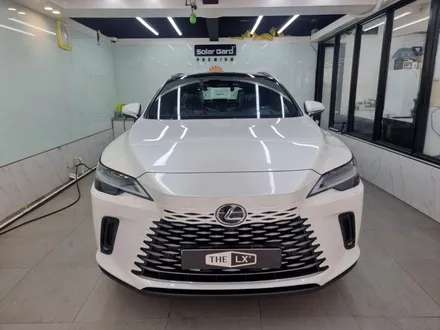 럭셔리 SUV 렉서스 RX350h 하이브리드로 연비까지 최상인 최고급SUV / 서울 마포구 용강동