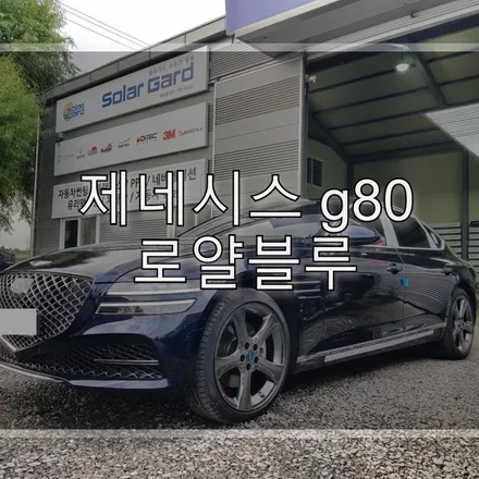 제네시스 g80 로얄블루 썬팅 + 자동차 ppf 필름 출고 후기 / 하남 풍산동