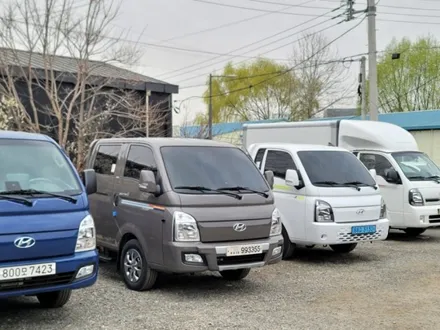마이티 2.5톤 레이노 모노카본 썬팅 후 차바닥 작업 / 하남 풍산동